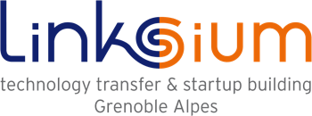 Logo de Linksium