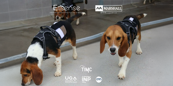 Image etisense newsletter