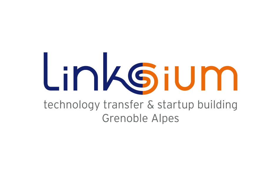 Img logo linkisum