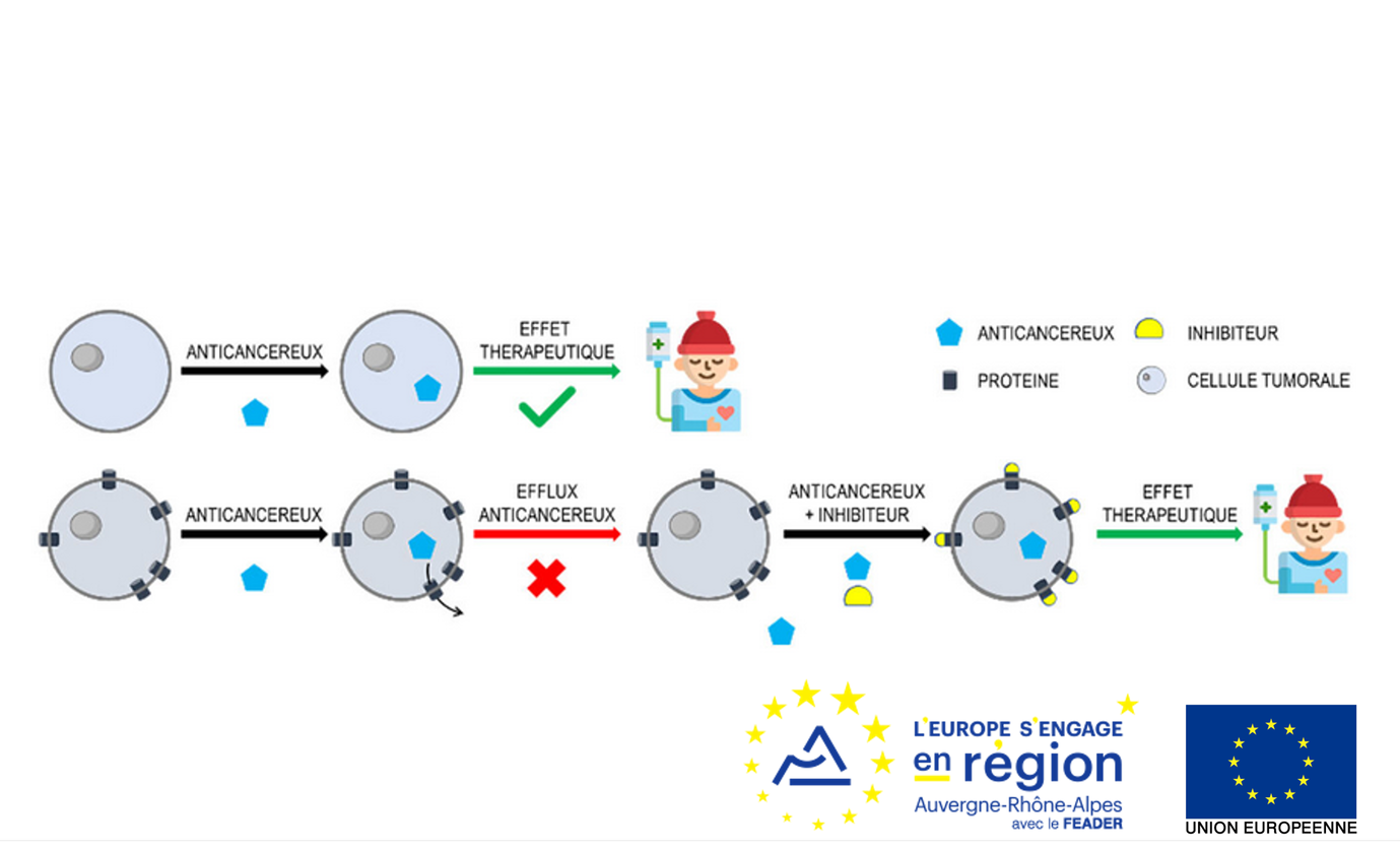 Visuel React therapeutics FEDER