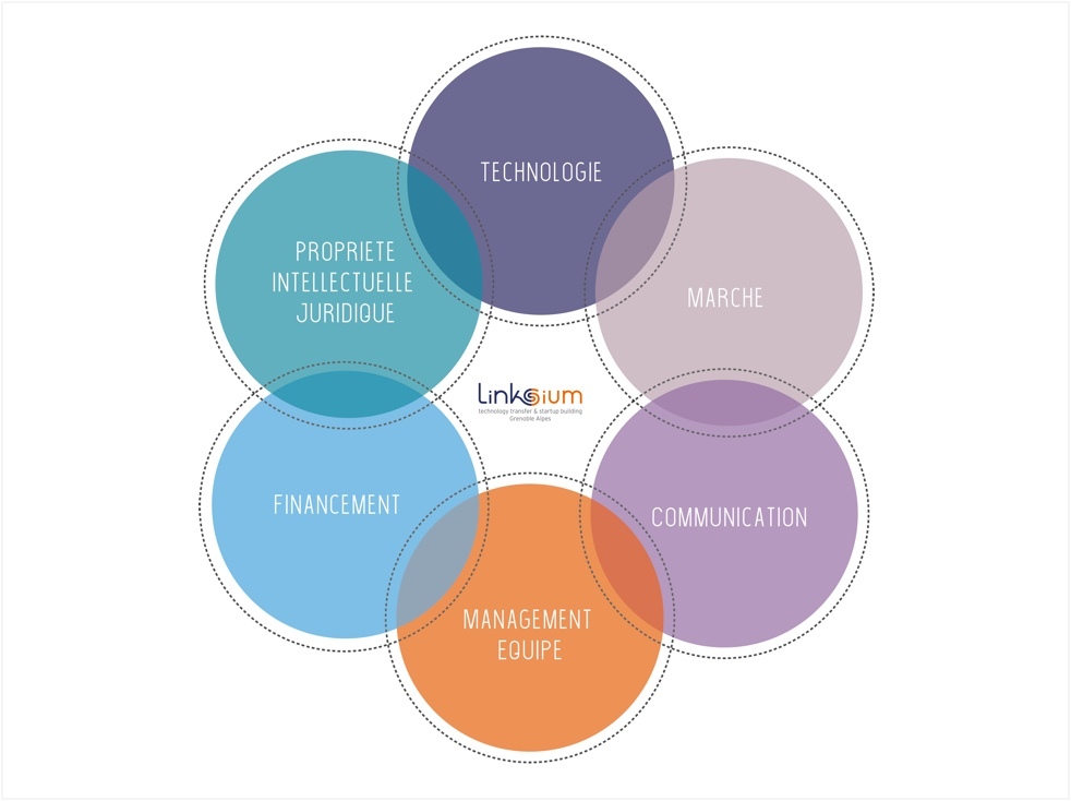 Schema linksium