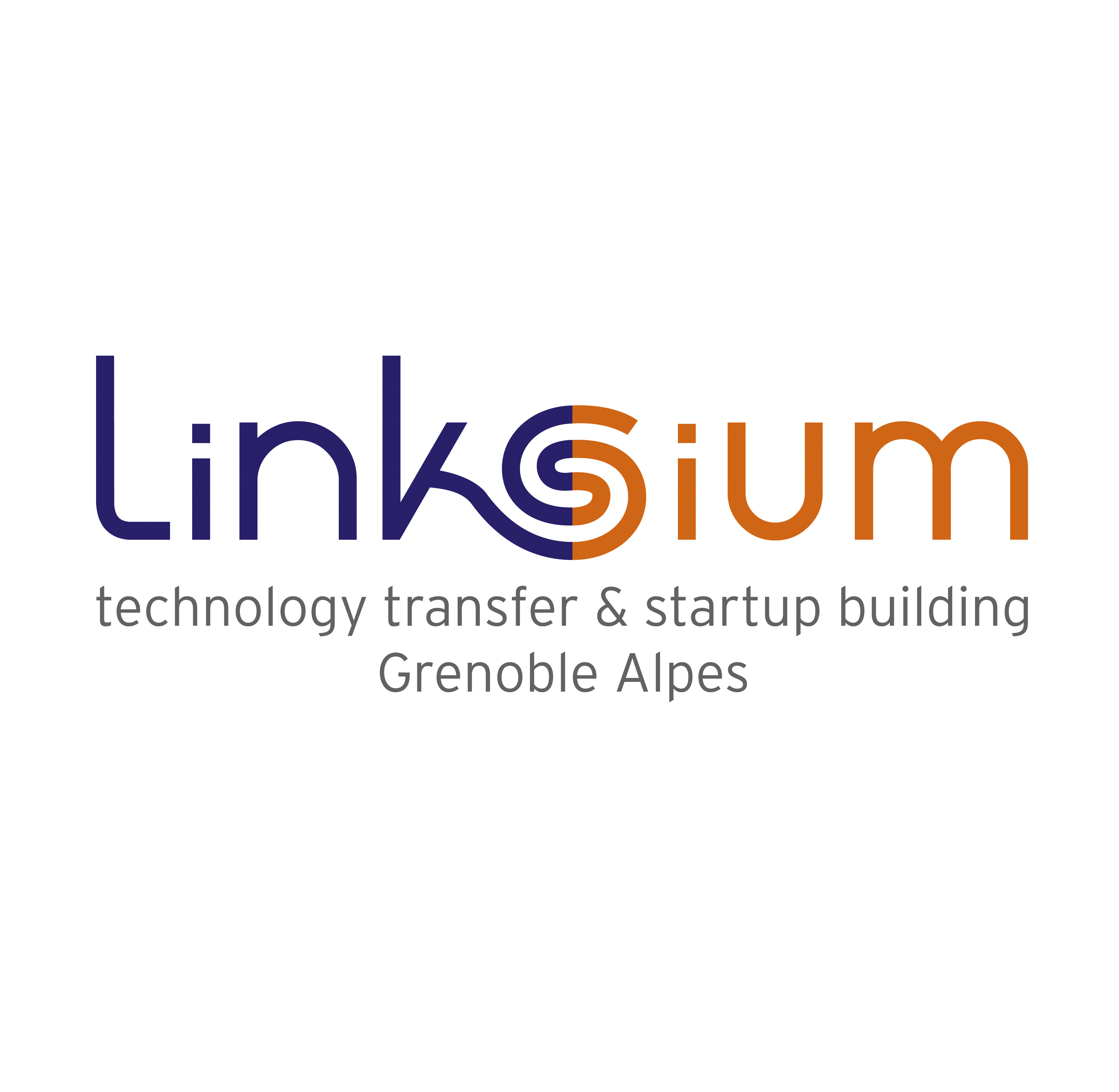 Logo Linksium RVB carré