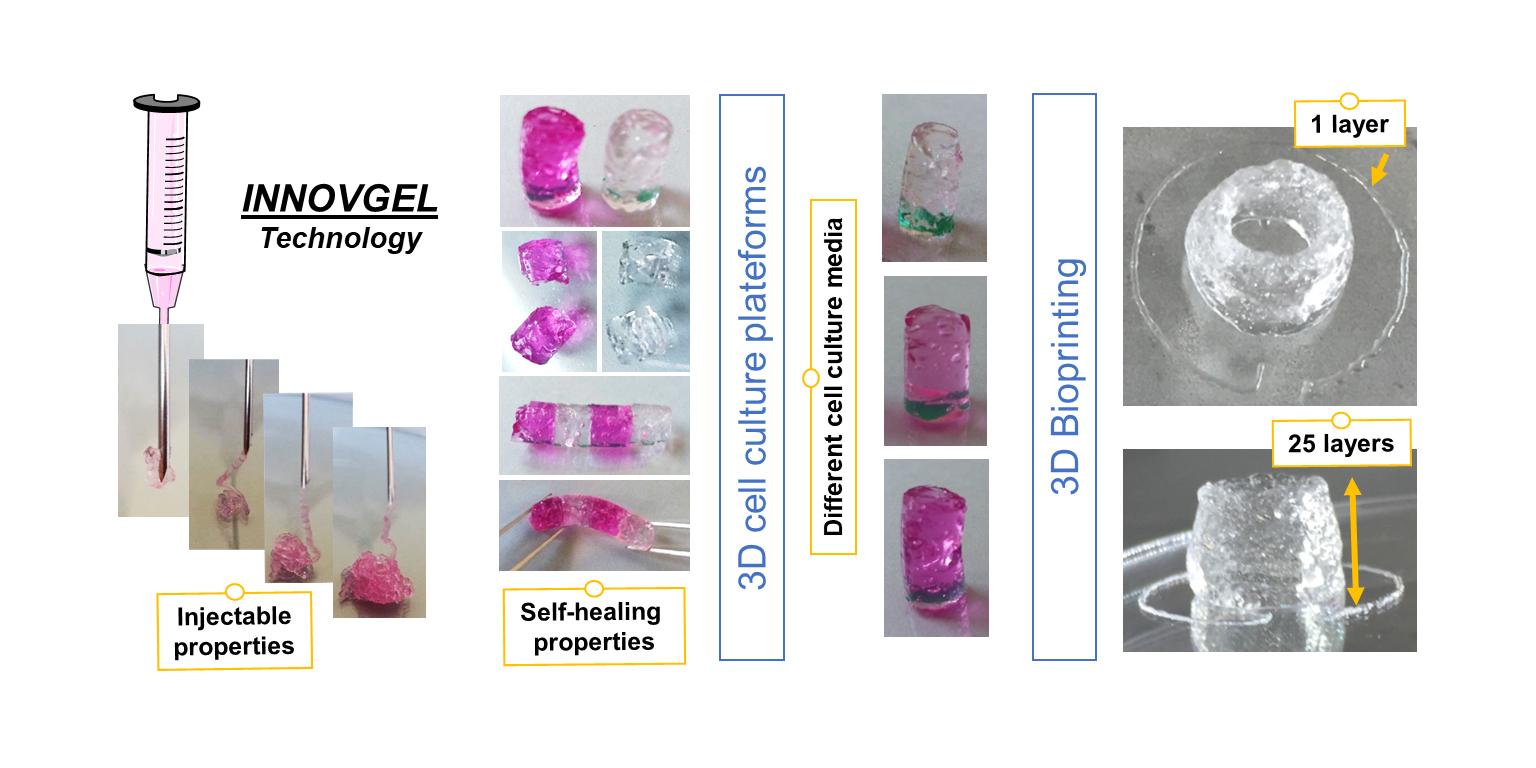 17028 INNOVGEL