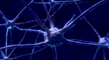 Visuel NEUROSNOOPER