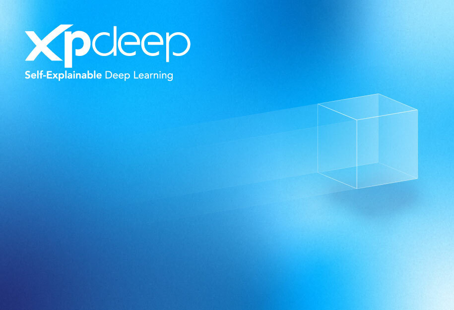 Xpdeep selfexplainable AI 002