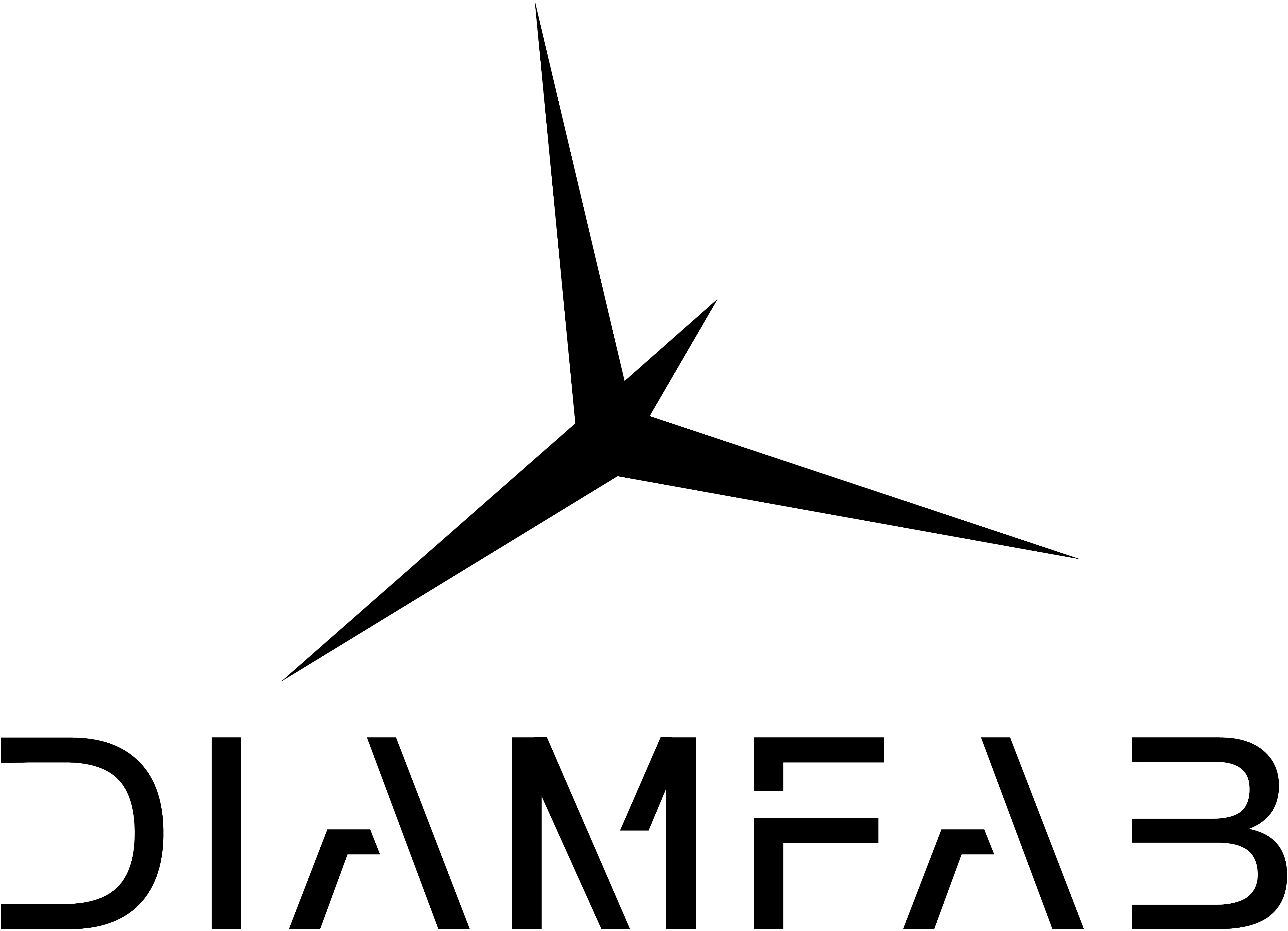 Diamfab nom logotype noir