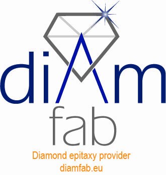 Logo Diam Fab avec baseline