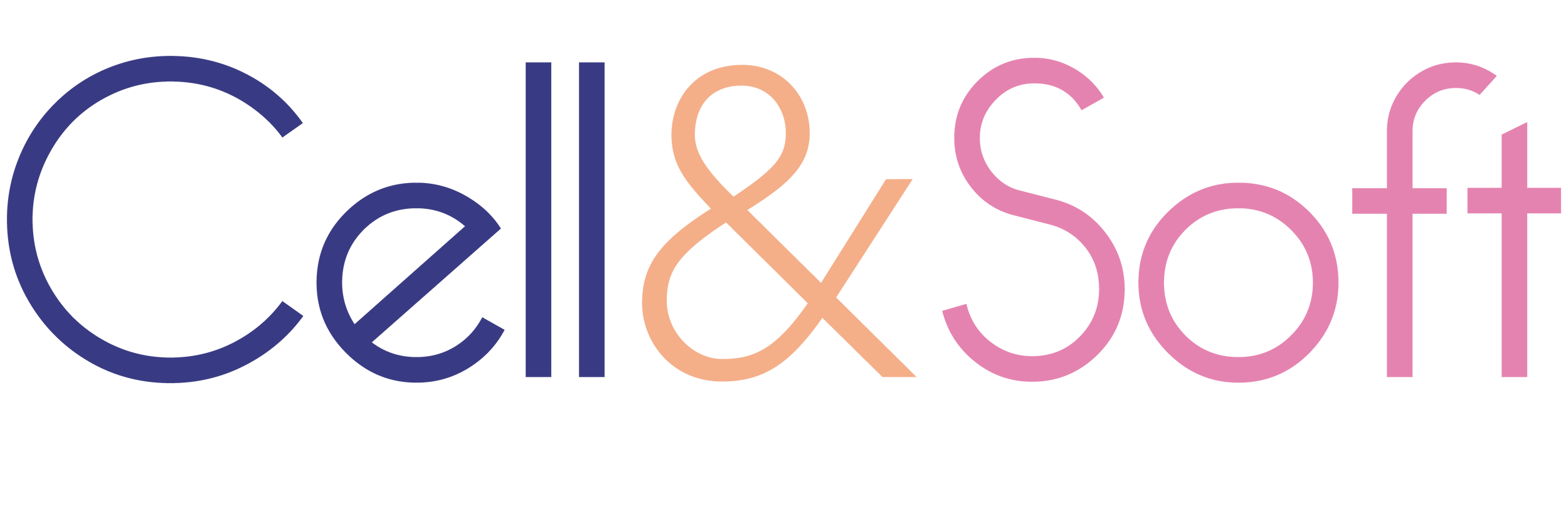 Logo 2024
