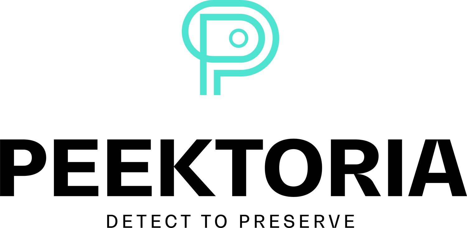 Logo 2024