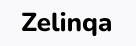 Logo zelinqa